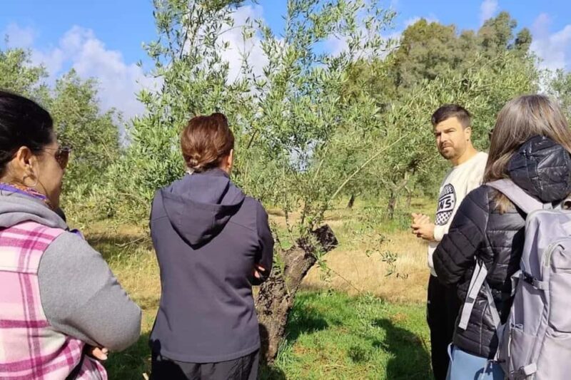 Organic olive oil tasting and visit to a family olive grove with fruit and a gift - Practical details and what you should know