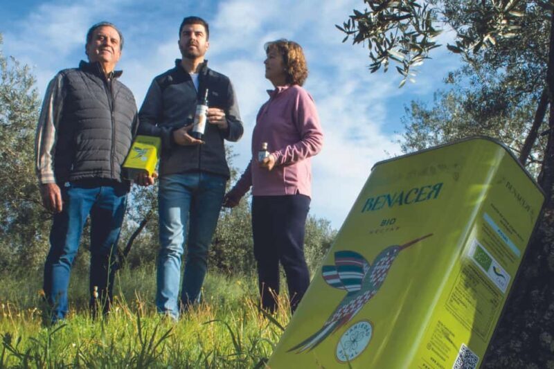 Organic olive oil tasting and visit to a family olive grove with fruit and a gift - Who should consider this tour?