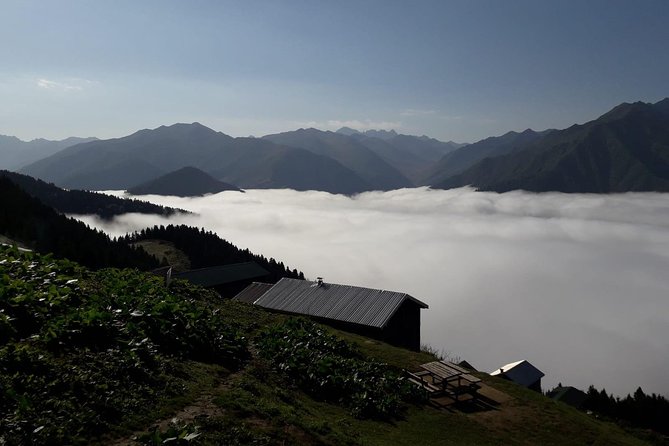 Organic Pokut Tour - Tour Highlights