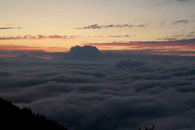Organic Pokut Tour - Itinerary Overview