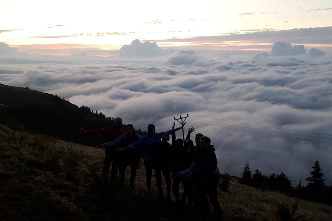 Organic Pokut Tour - Transportation Details
