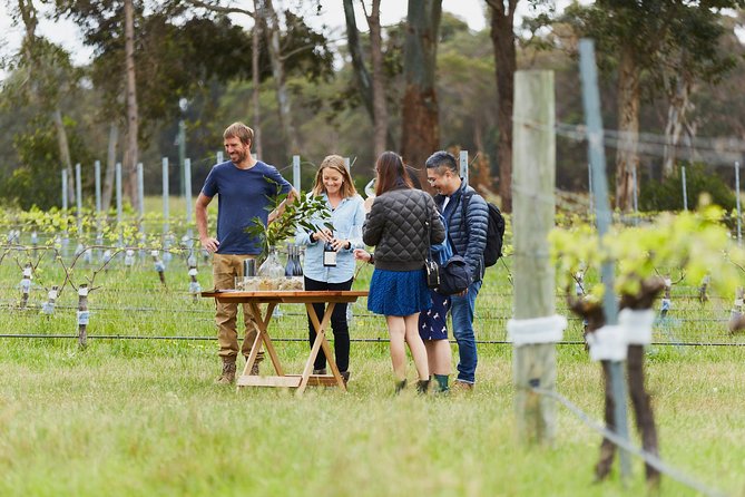 Organic Vineyard/Farm Tour - Tour Highlights