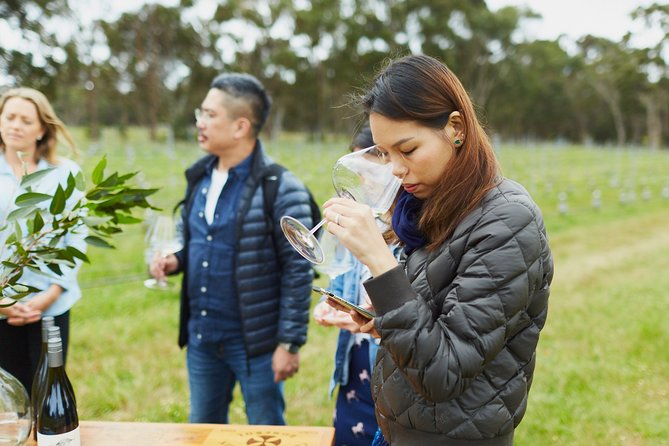 Organic Vineyard/Farm Tour - Guided Vineyard/Farm Tour