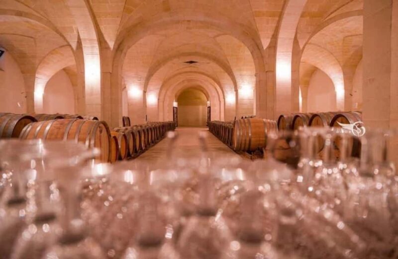 Organic Wine and Olive Oil Tasting Experience near Lecce - Who Will Enjoy This Tour?