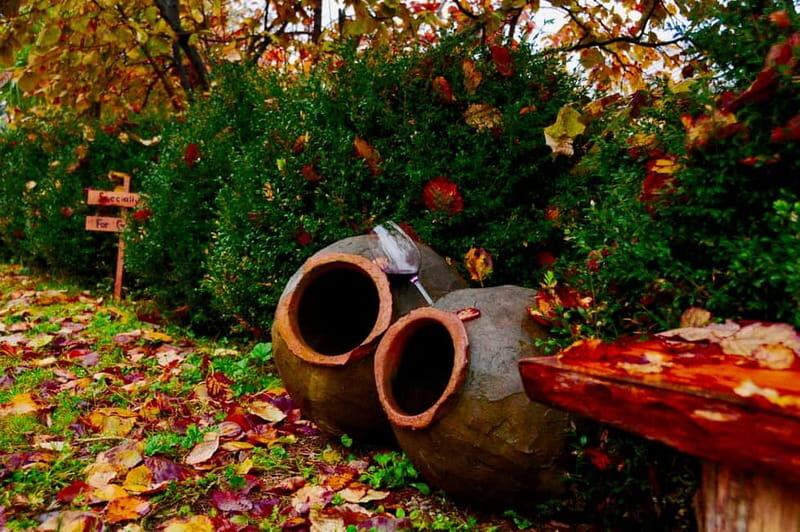 Organic Wine Full Day Private Tour With Tastings and Lunch - Exploring Georgia’s Organic Wine Scene: A Detailed Look at the Full Day Private Tour