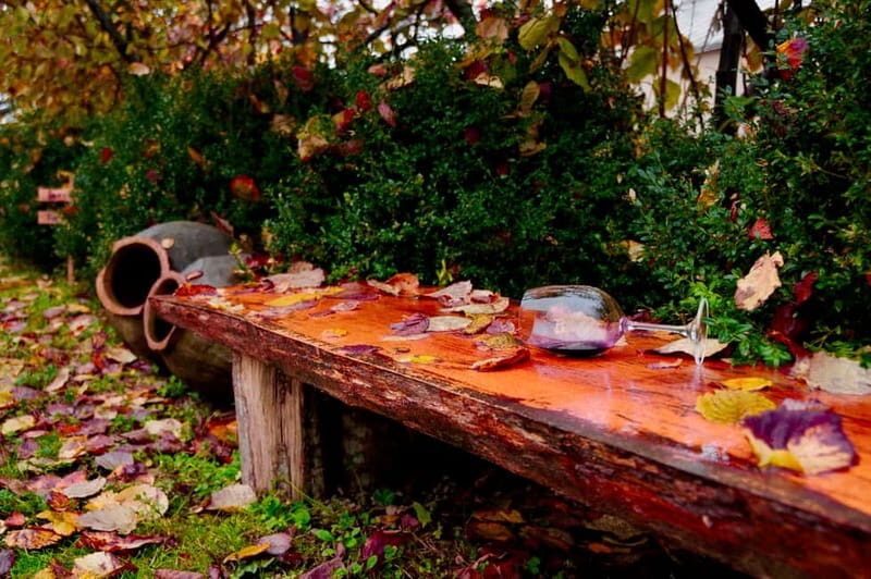 Organic Wine Full Day Private Tour With Tastings and Lunch - What Makes This Tour Stand Out?