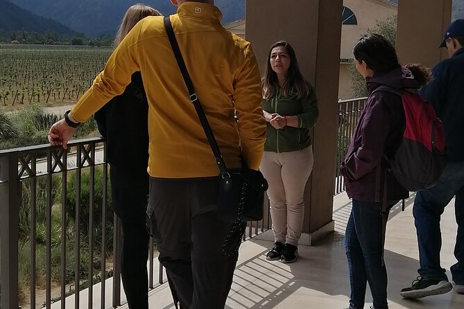 Organic Wine Route, Lunch With Local Chef, Valparaíso Tour. - Tour Overview