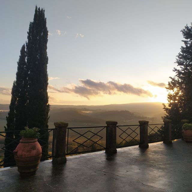 Organic Wine Tasting at Fattoria Majnoni Guicciardini - Tour Highlights and Vineyard Exploration