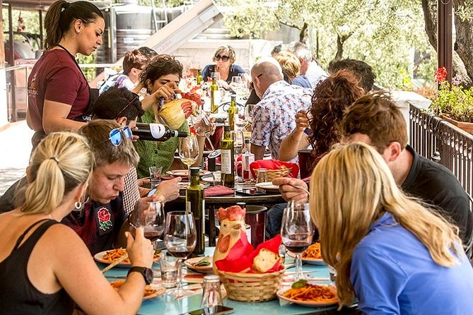 Organic Wine Tasting & Lunch on Vesuvius With Transfer From Sorrento Peninsula - Experience Vineyards and Cellar at the Winery