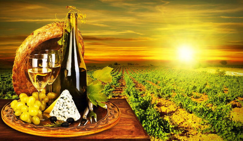 Organic Wine Tasting With Saint Paul Half Day Tour From Nice - Itinerary