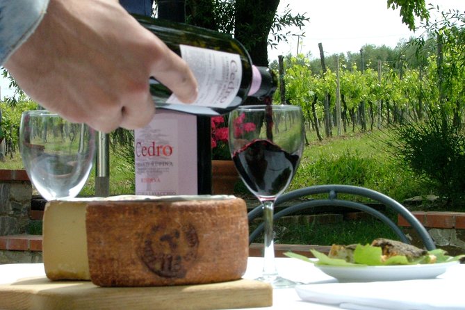 Organic Winery Tour and Tasting in Tuscany Chianti Hills - Vineyard Tour