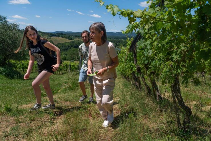 Organic Winery Tour and Wine Tasting in Siena - Tour Highlights