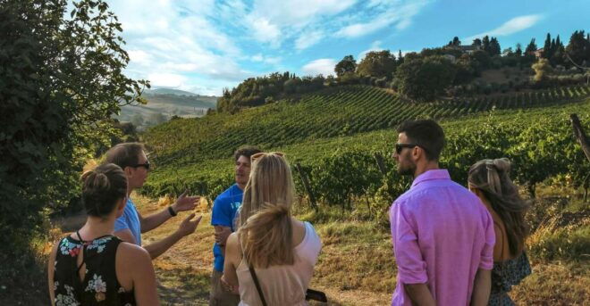 Organic Winery Tour and Wine Tasting in Siena - Host and Language Options