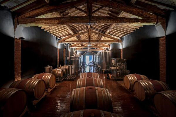 Organic Winery Tour and Wine Tasting in Siena - Inclusions