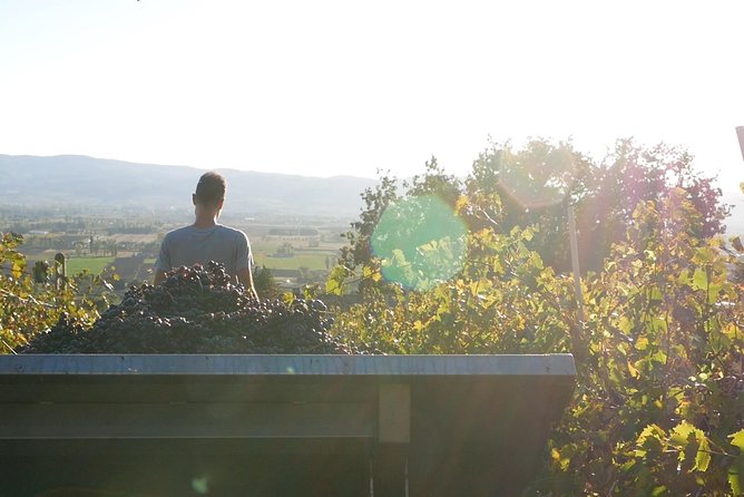 Organic Winery Tour With Full Lunch From Assisi - Tour Highlights