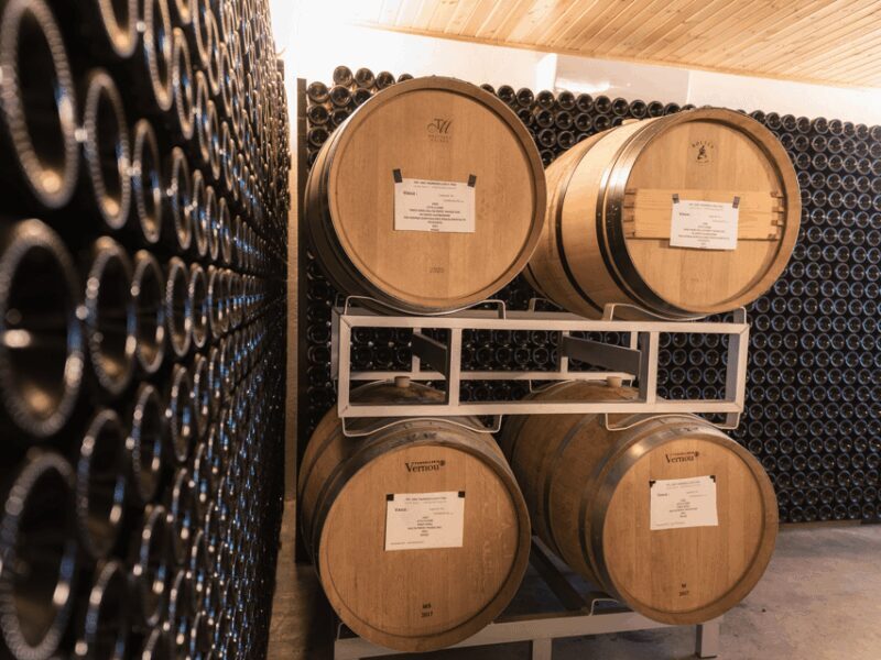 Organic Winery Visit & Wine Tasting with Food in Pavia - Discovering Pavia’s Organic Winery: The Heart of Lombardy’s Wine Scene