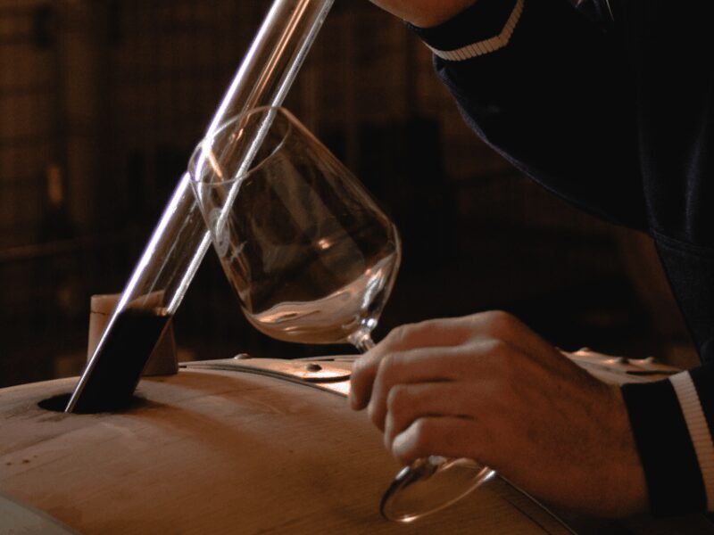 Organic Winery Visit & Wine Tasting with Food in Pavia - Wine Tasting & Food Pairings: A Full Sensory Journey