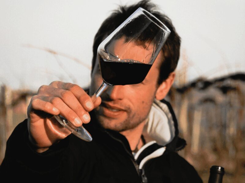 Organic Winery Visit & Wine Tasting with Food in Pavia - Who Will Love This Experience?