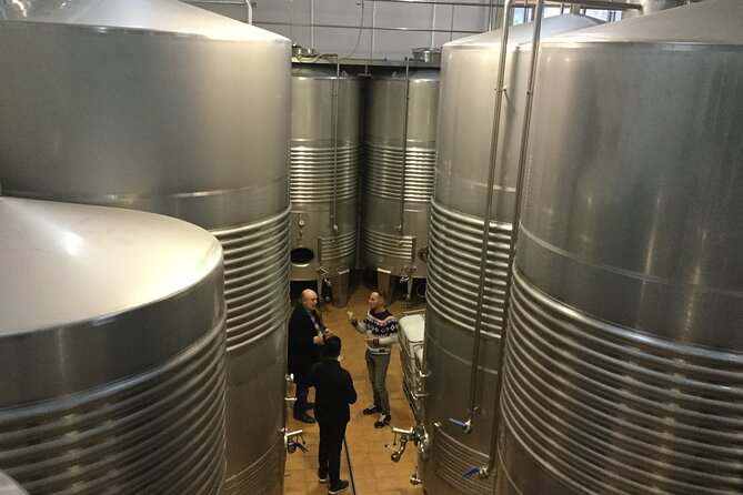 Organic Winery Visit With Tasting in Bilbao - Reviews