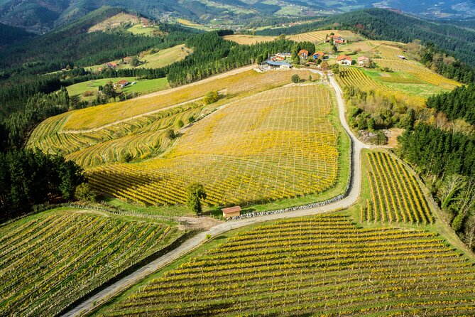 Organic Winery Visit With Tasting in Bilbao - Questions and Assistance
