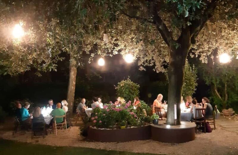 Organic Winery Visit with Wine & Food Tasting in Bologna - A Closer Look at the Experience