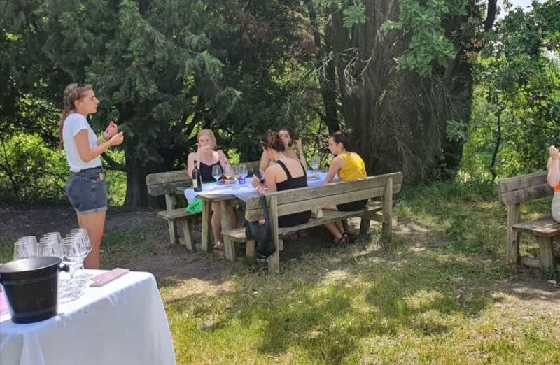 Organic Winery Visit with Wine & Food Tasting in Bologna - Who Will Enjoy This Tour?