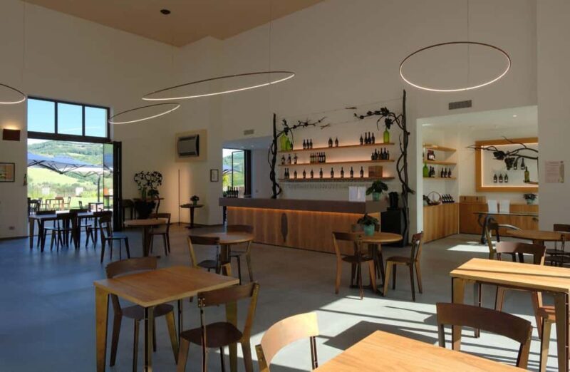 Organic Winery Visit with Wine & Food Tasting in Bologna - Final Thoughts