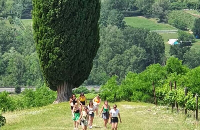 Organic Winery Visit with Wine & Food Tasting in Bologna - FAQs