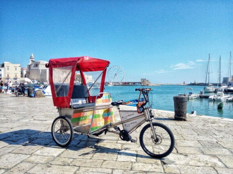 Organized tour from Bari to Castel del Monte - Who Will Love This Tour?  