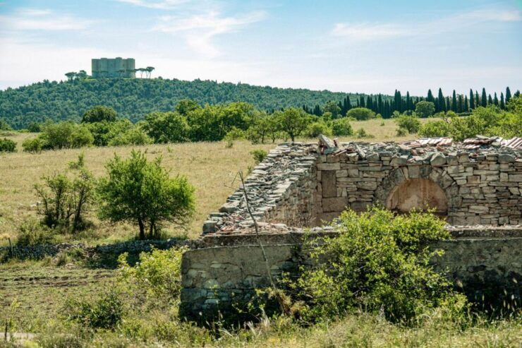 Organized Tour From Bari to Trani and Castel Del Monte - Good To Know