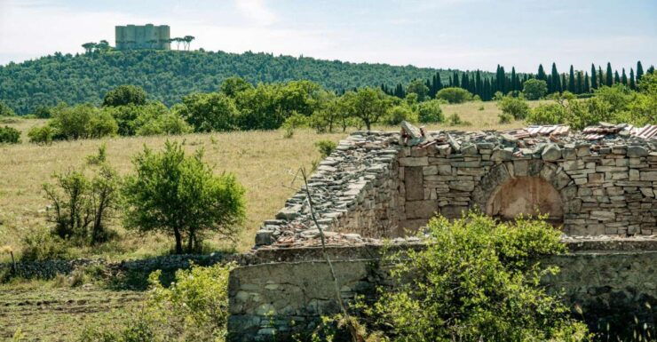 Organized Tour From Bari to Trani and Castel Del Monte - Tour Highlights and Experience