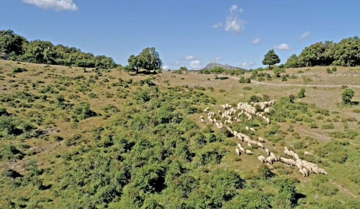 Orgosolo: 4x4 Private Tour in Supramonte W/ Murals Visit - Tour Location and Price