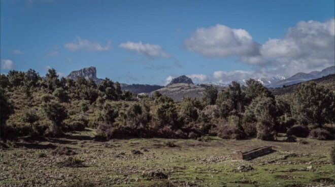 Orgosolo: 8-Hour ATV Tour in Supramonte - Safety and Requirements