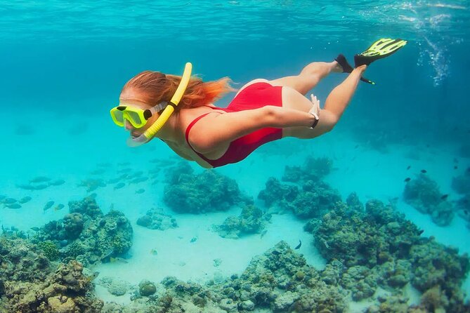 Origamitours 24 Hour Rental Snorkeling Gear [Mask, Snorkel, Fins] - Rental Options Available