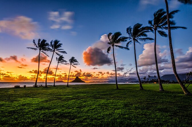 Origamitours North Shore & Circle Island Tour (Private) - Pricing and Booking Details