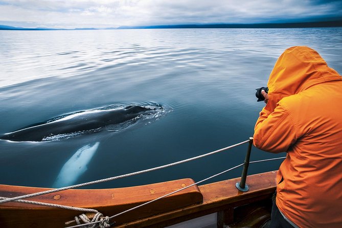 Original Carbon Neutral Whale Watching Tour From Húsavík - Additional Information