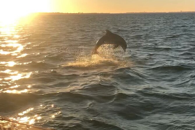 ORIGINAL Destin Tikis Harbor Sightseeing Cruise - Additional Information and Policies