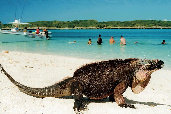 Original Exuma Powerboat Adventures - FAQ