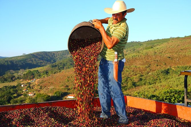 Original Historic Coffee Farm Guided Tour With Transfer - Duration, Location, and Group Size