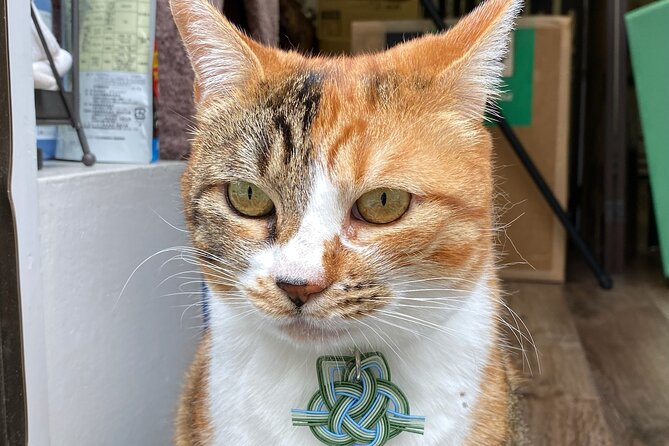 Original Japanese Stab Binding Notebook Private Workshop in Ueno - Pricing, Booking, and Directions