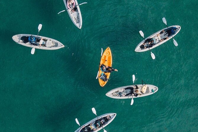 Original La Jolla Sea Cave Kayak Tour for Two - Requirements and Policies