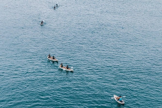 Original La Jolla Sea Cave Kayak Tour for Two - Customer Experiences (Negative)