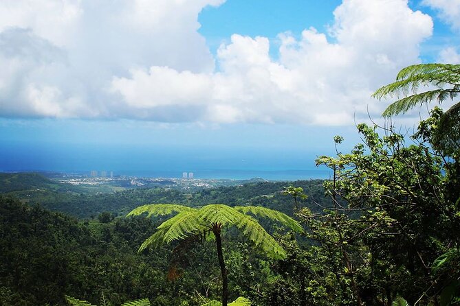 Original Tropical Rainforest and Beach Adventure - Tour Overview