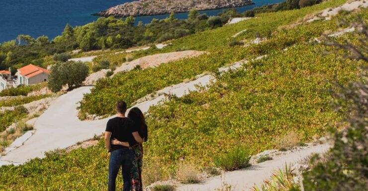 Original Wine Lovers Tour of Peljesac Peninsula - Itinerary Highlights