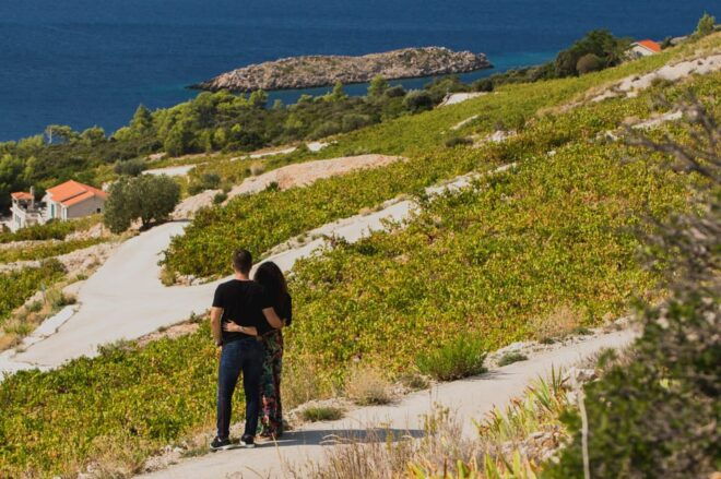 Original Wine Lovers Tour of Peljesac Peninsula - Expert Guide Information