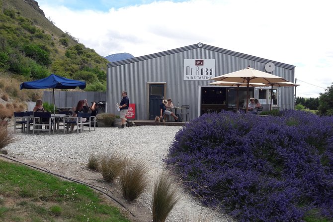 Original Wine Tour - Traveler Photos