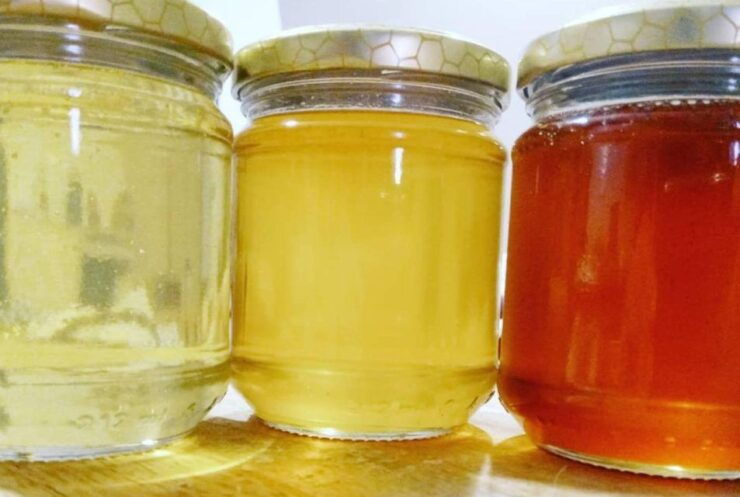 Oristano: Discover the Products of the Beehive - Craft Natural Hive Treasures