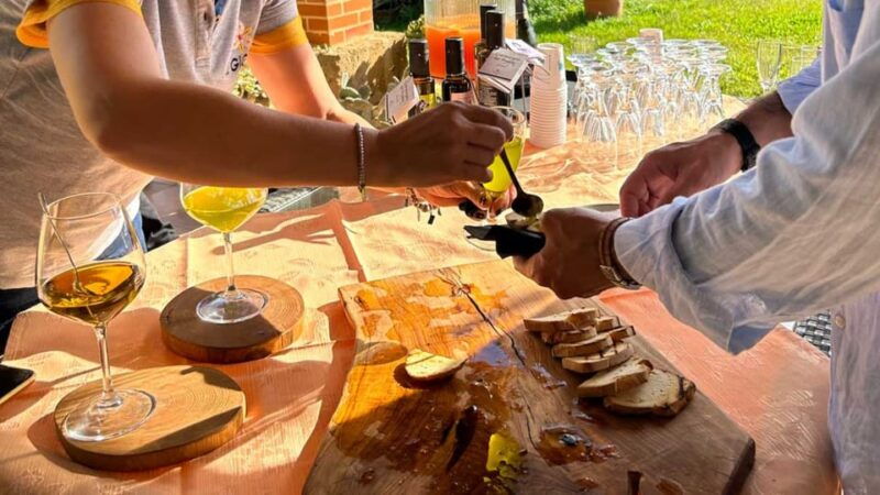Oristano: Visit a Farm With Oil Tasting - Explore Sardinian Olive Cultivars