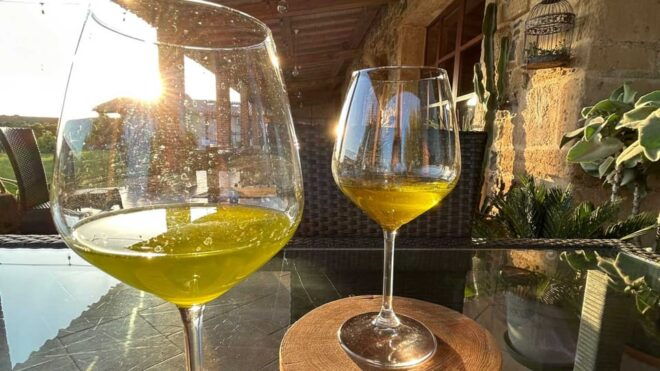 Oristano: Visit to a Farm in the Countriside W/ Oil Tasting - Sardinian Olive Cultivars Explained
