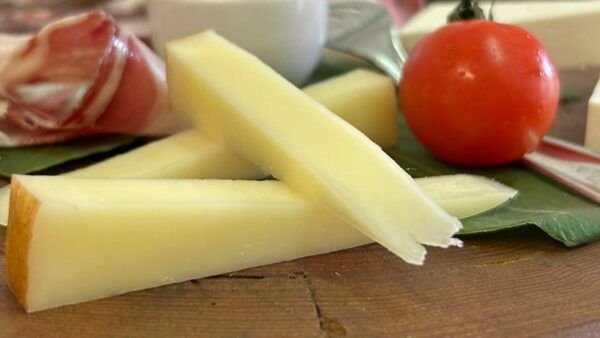 Oristano: Visit to a Farm in the Countriside W/ Oil Tasting - Booking and Cancellation Policies